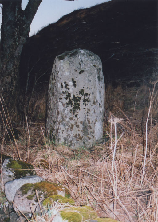Croft House Stone (Standing Stone / Menhir) by BigSweetie