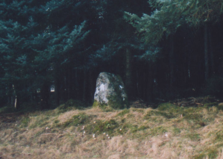 Croft House Stone (Standing Stone / Menhir) by BigSweetie