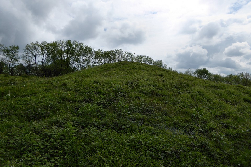 Shortwood mounds (Round Barrow(s)) by thesweetcheat