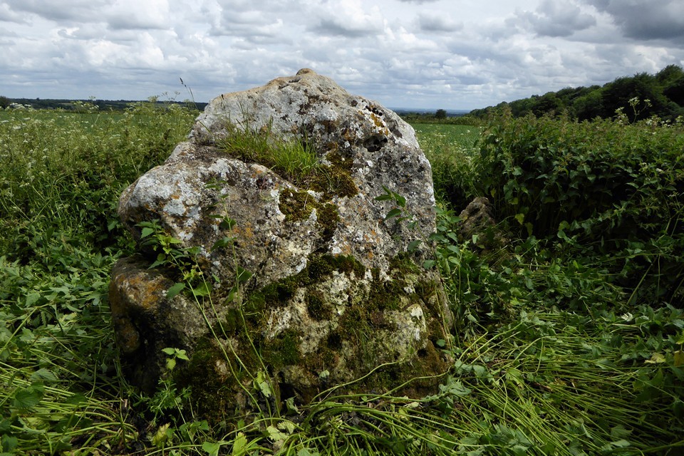 The Hoar Stone (Duntisbourne Abbots) (Long Barrow) by thesweetcheat