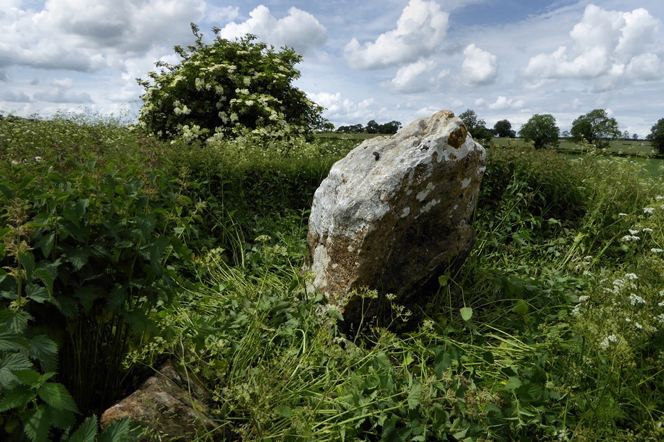 The Hoar Stone (Duntisbourne Abbots) (Long Barrow) by thesweetcheat