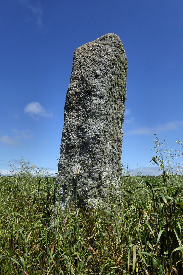 Boscawen-Ros (Standing Stones) by thesweetcheat