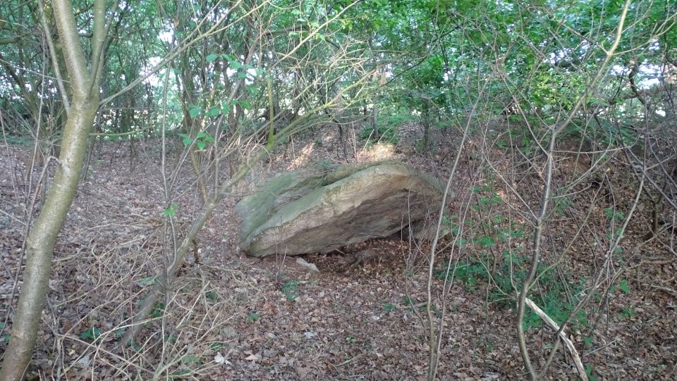 Bexhövede 1 (Chambered Tomb) by Nucleus
