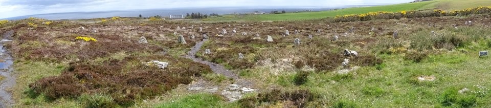 Hill O'Many Stanes (Multiple Stone Rows / Avenue) by Nucleus