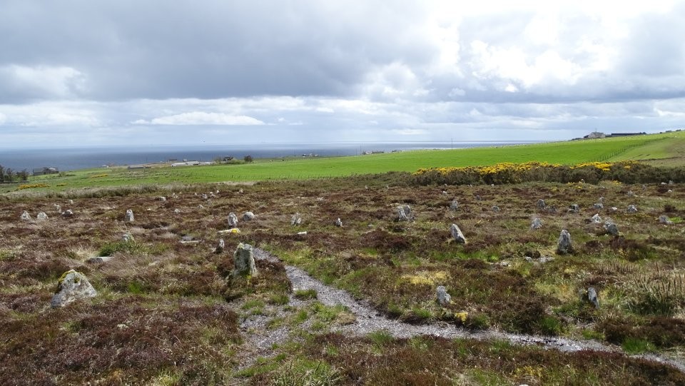 Hill O'Many Stanes (Multiple Stone Rows / Avenue) by Nucleus