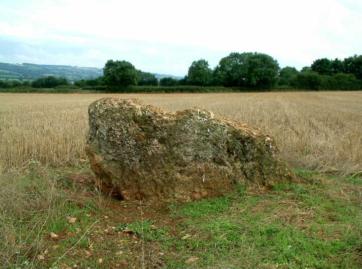 The Horestone (Swell) (Standing Stone / Menhir) by baza