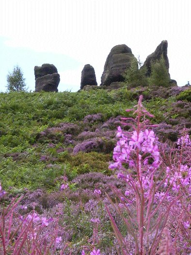 Brimham Rocks (Rocky Outcrop) by Jane