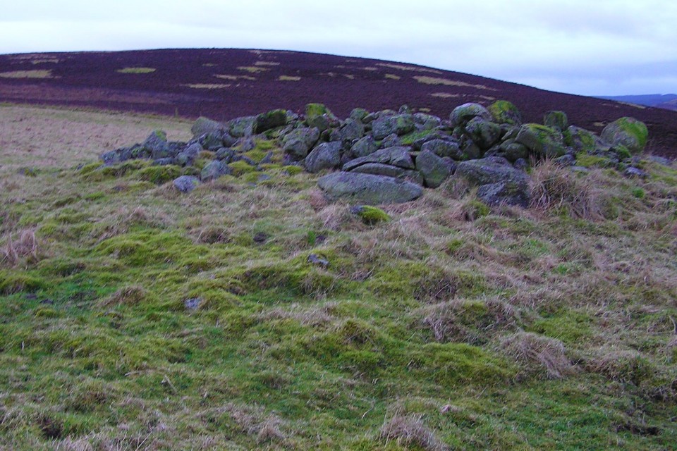 Strone Hill East (Cairn(s)) by drewbhoy