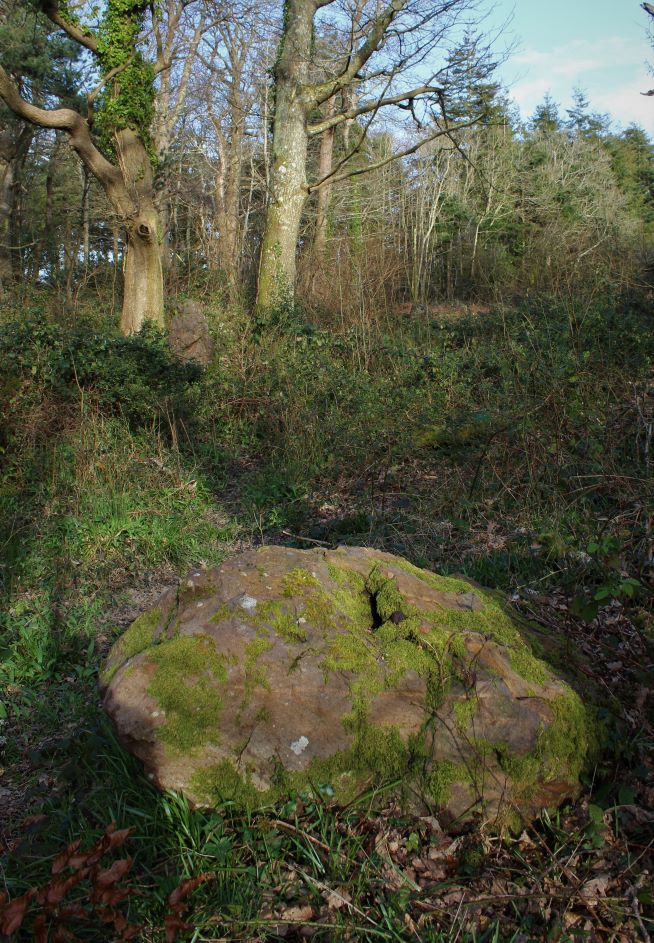 Rempstone Stone Circle (Stone Circle) by postman