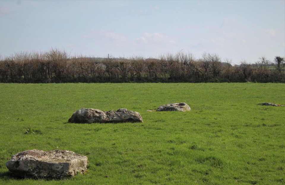 Kingston Russell (Stone Circle) by postman