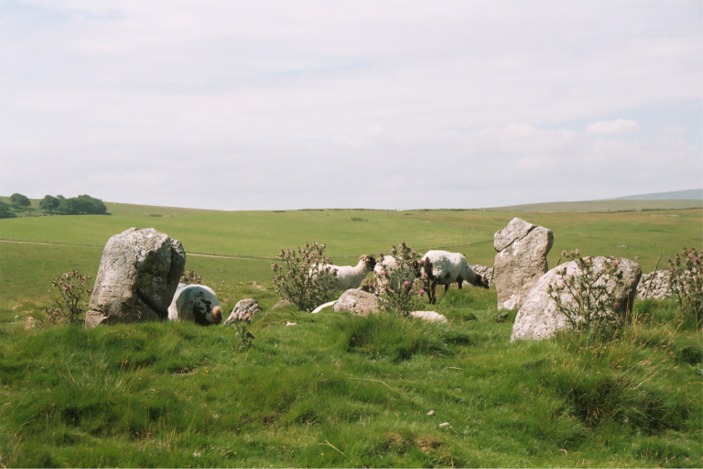 Druid's Altar (Stone Circle) by Moth