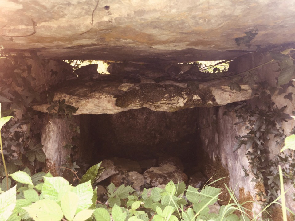 Baur South (Cl. 26) (Wedge Tomb) by ryaner