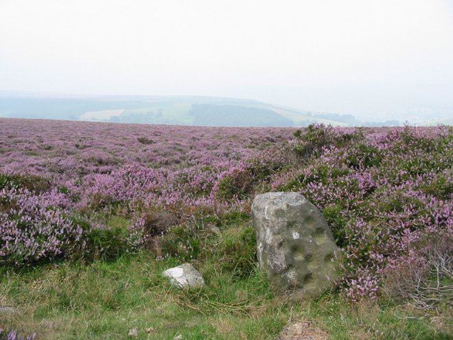 Stanage (Cup Marked Stone) by stubob