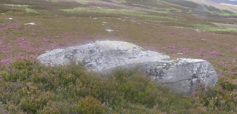 Pitcarmick Burn 4 (Cup Marked Stone) by drewbhoy