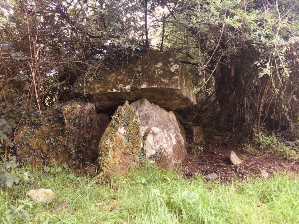 Carrickclevan (Portal Tomb) by ryaner
