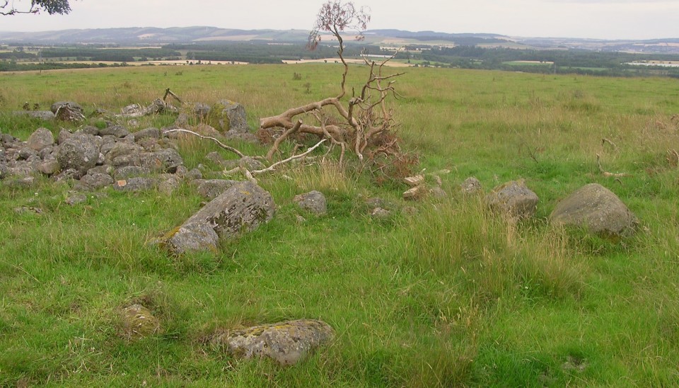 Gallow Hill (Cortachy) 2 (Cairn(s)) by drewbhoy