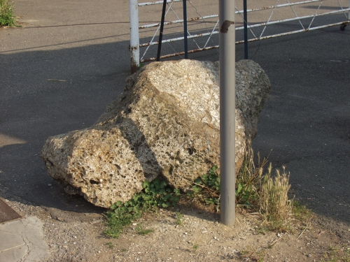 Newport Leper Stone (Standing Stone / Menhir) by ocifant