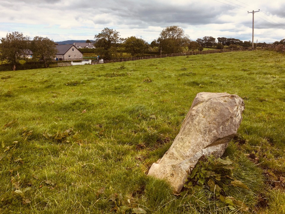 Tullyvallan (Tipping) West (Standing Stone / Menhir) by ryaner