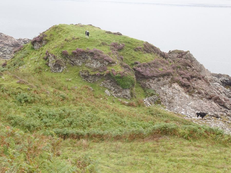Dun Ban (Camuscross) (Stone Fort / Dun) by LesHamilton