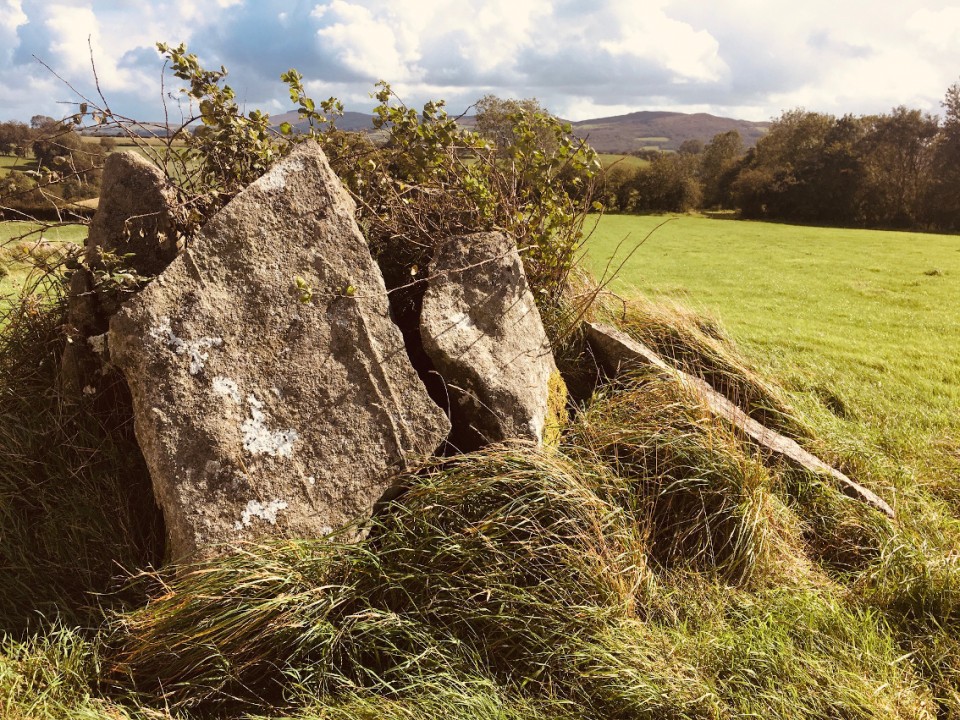 Glenknock or Cloghogle (Portal Tomb) by ryaner