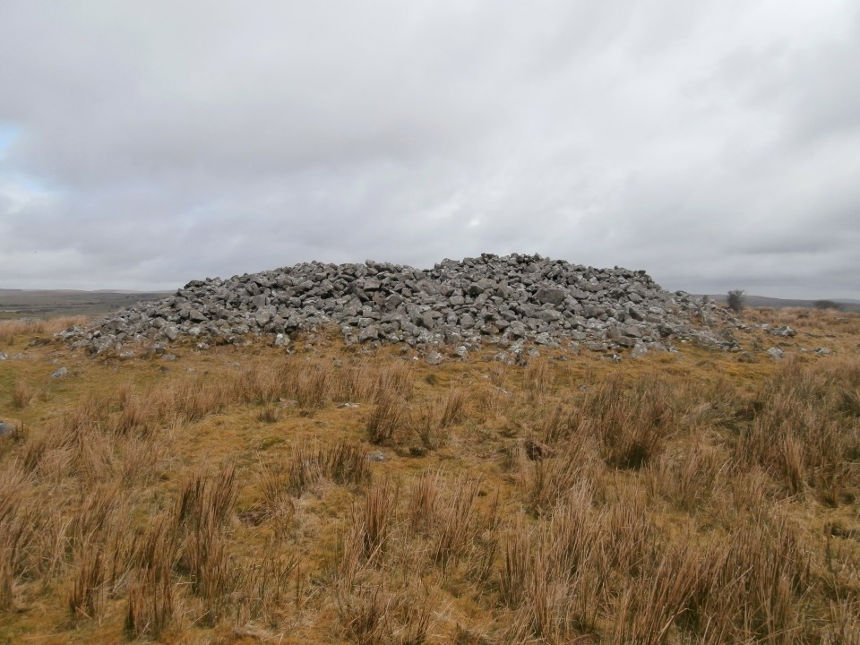 Carburrow Tor (Cairn(s)) by markj99