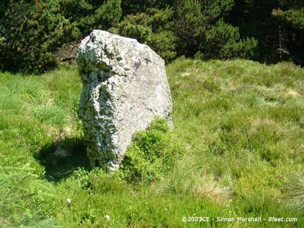 Carreg Wen (Standing Stone / Menhir) by Kammer
