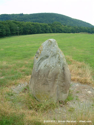 Carreg Llwyd (West) (Standing Stone / Menhir) by Kammer