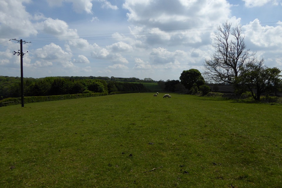 Foxcote Hill Farm (Round Barrow(s)) by thesweetcheat