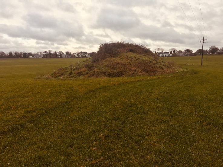 Culmullin (Artificial Mound) by ryaner
