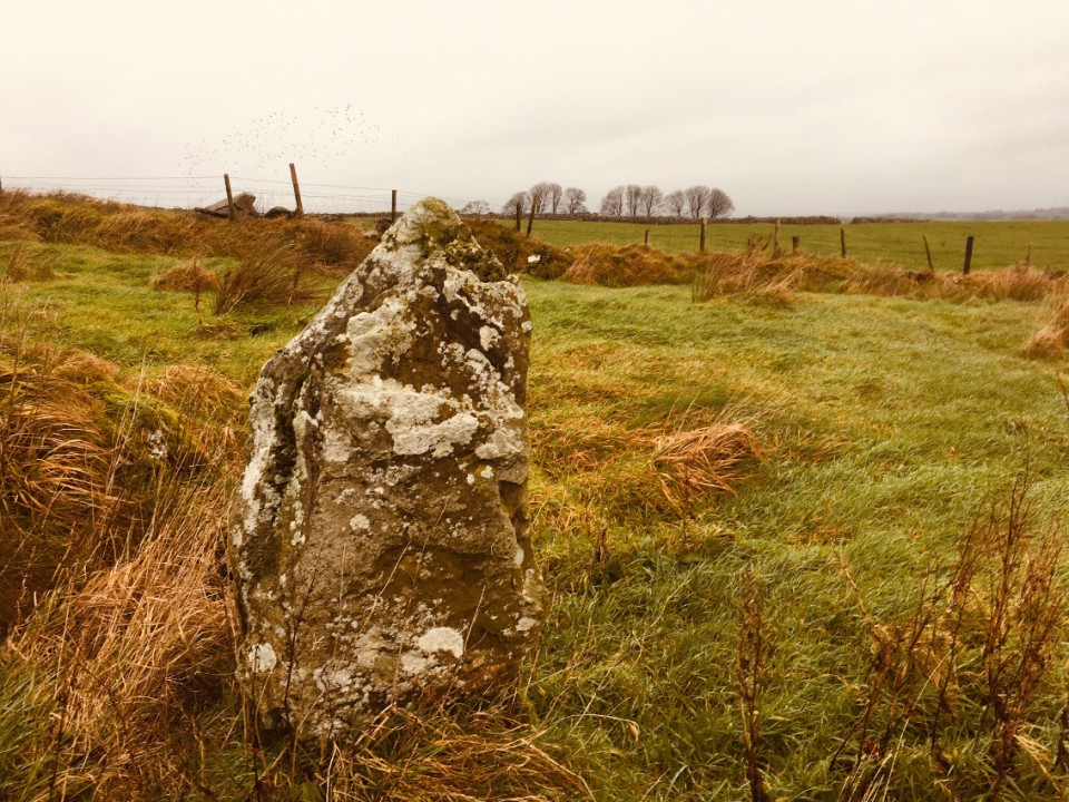 Ballinvally (Standing Stone / Menhir) by ryaner