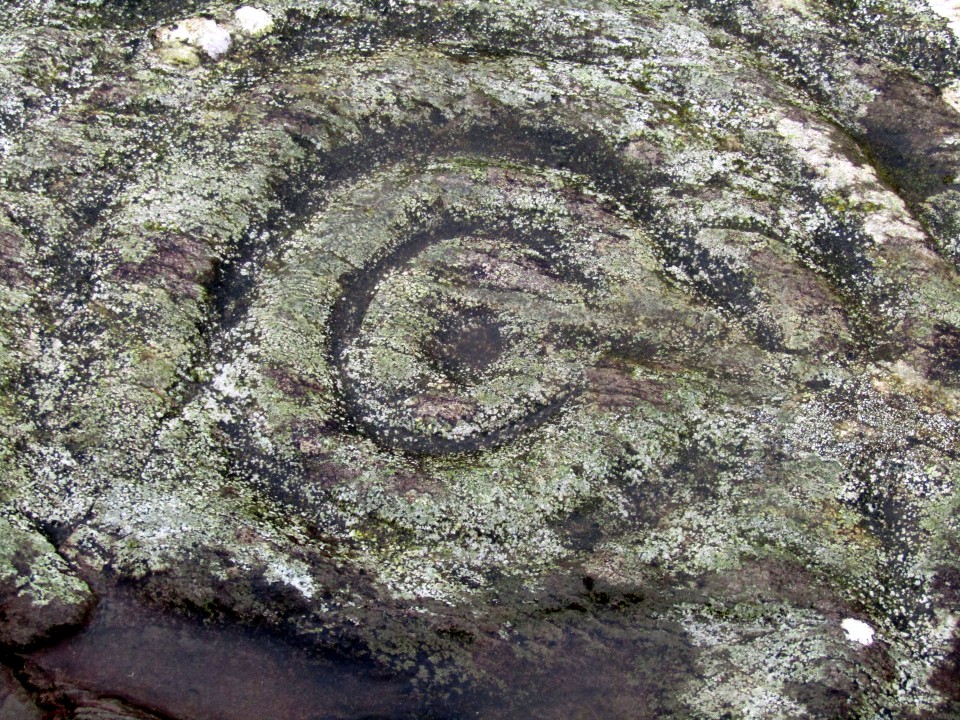 Mossyard 1 (Cup and Ring Marks / Rock Art) by markj99