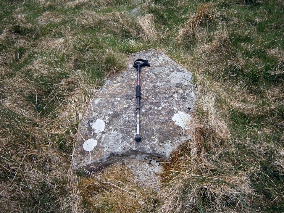 Peatshiel Sike (Standing Stone / Menhir) by markj99