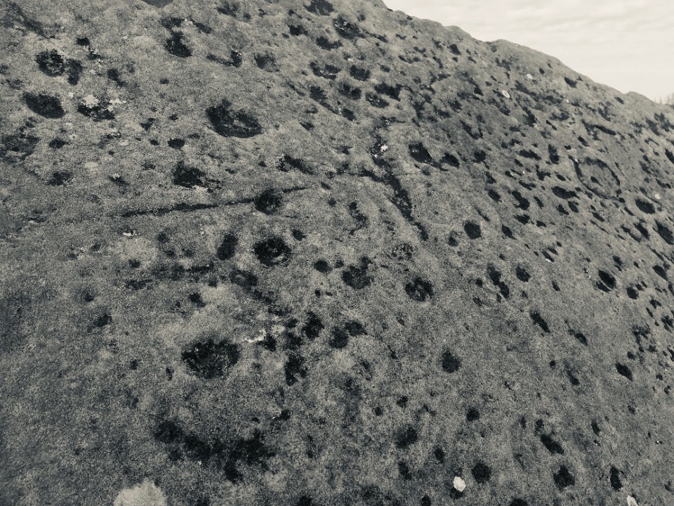 Clonasillagh Decorated Stone (Cup and Ring Marks / Rock Art) by ryaner