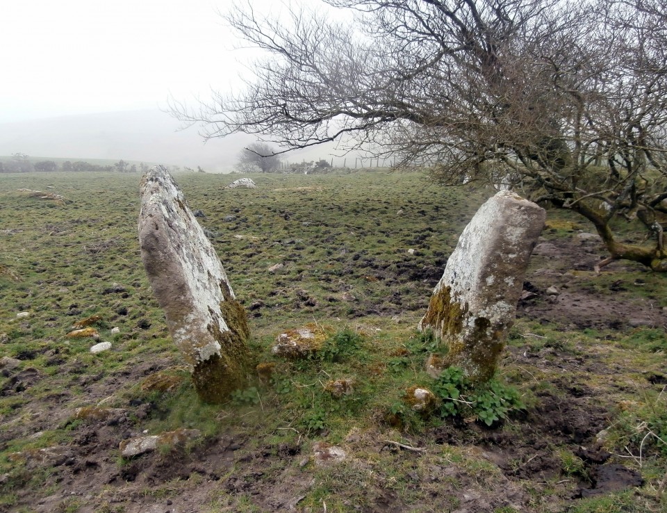 Trezelland Two Stones (Standing Stones) by markj99