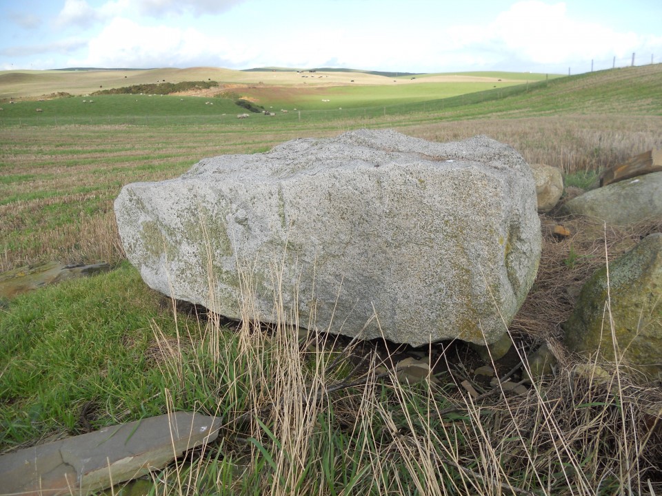 West Cairngaan (Standing Stone / Menhir) by markj99