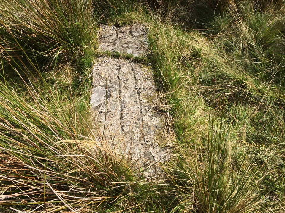 Braidenoch Cross Slabs (Christianised Site) by markj99
