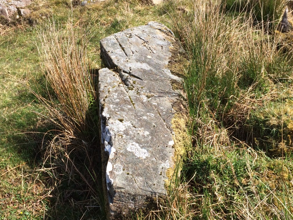 Coffin Stone (Glenluce) (Natural Rock Feature) by markj99