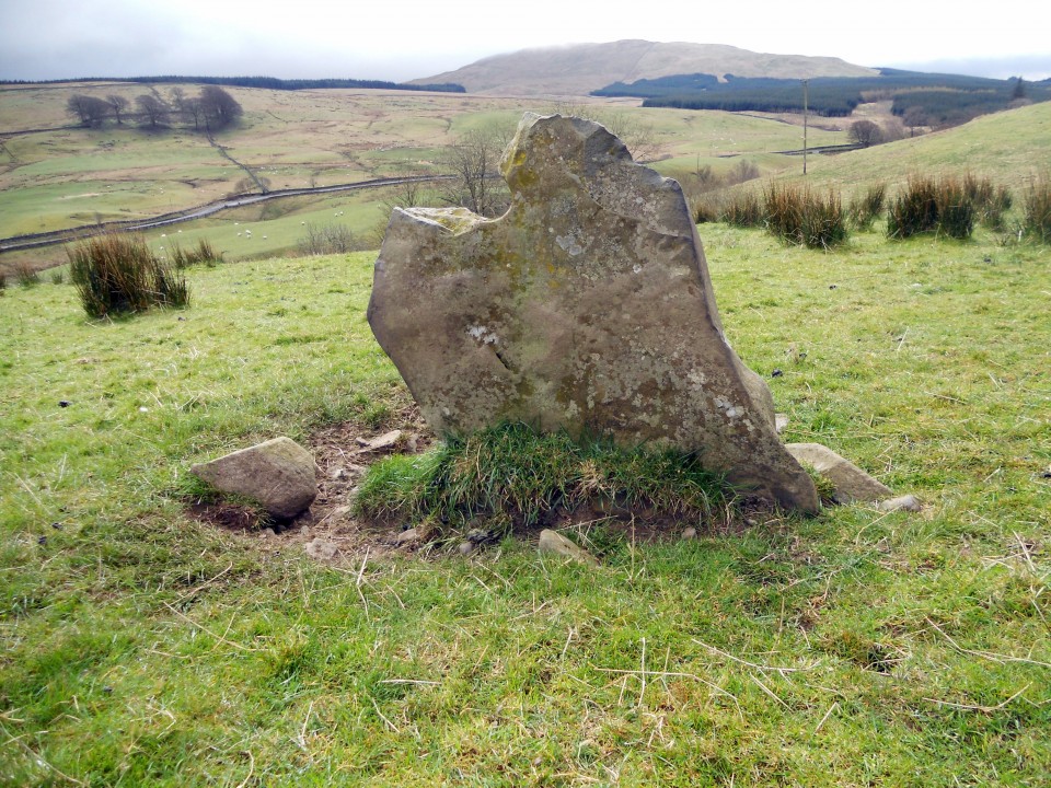 Lochrennie Hole Stone (Holed Stone) by markj99