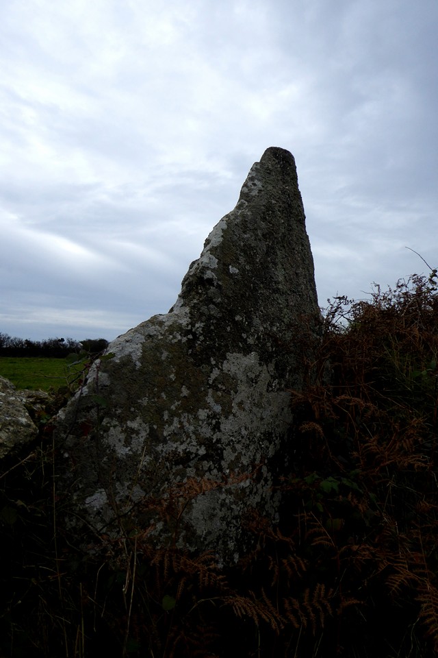 Boscawen-Un hedge (Standing Stone / Menhir) by thesweetcheat