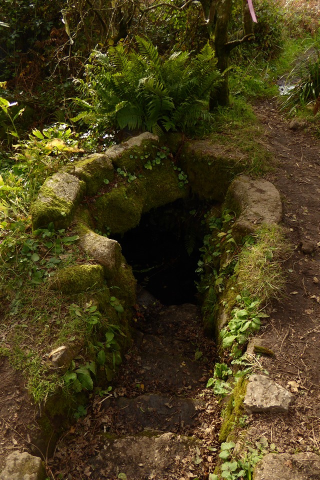 St Euny's Well (Sacred Well) by thesweetcheat