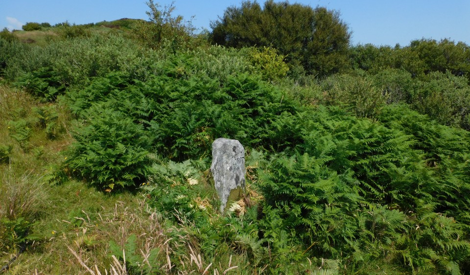 Cnocan Soilleir (Standing Stone / Menhir) by drewbhoy