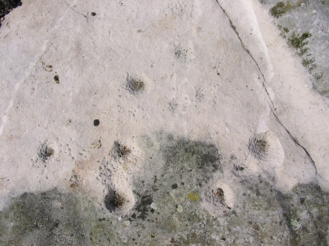 Chatton (Cup and Ring Marks / Rock Art) by stubob