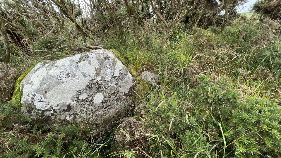 Lemnagh Beg (Passage Grave) by ryaner