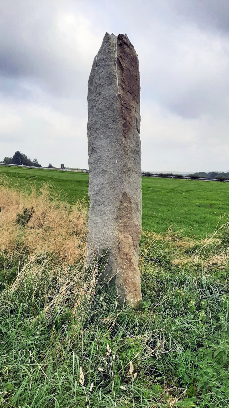 Long Tom (Fyfield) (Standing Stone / Menhir) by Zeb