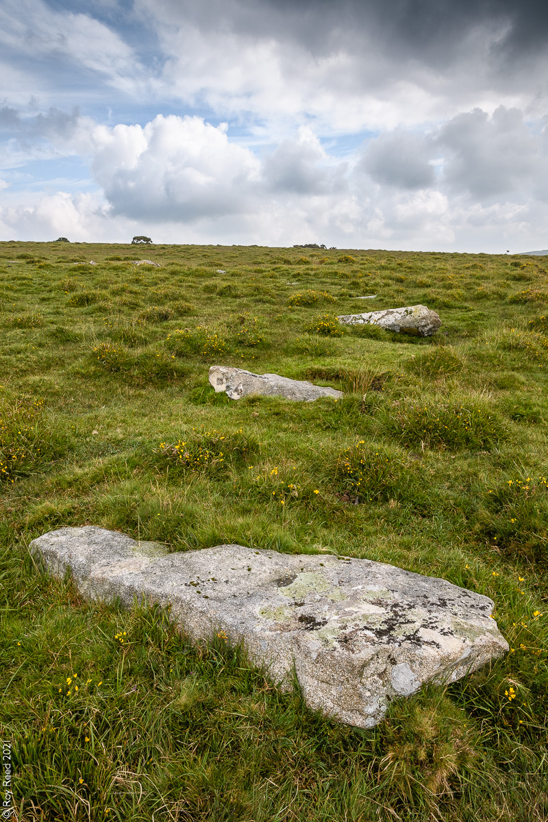 Craddock Moor Circle (Stone Circle) by RoyReed