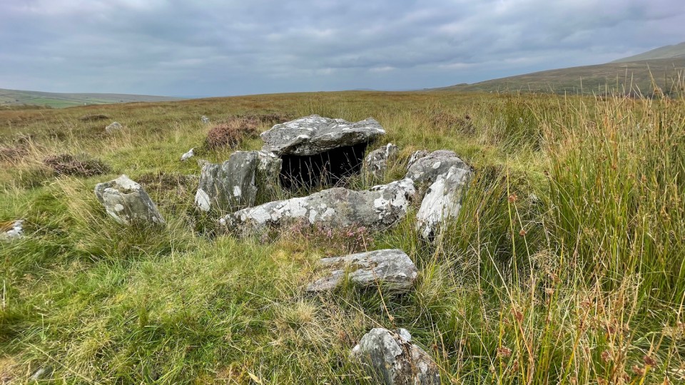 Clogherny (Wedge Tomb) by ryaner