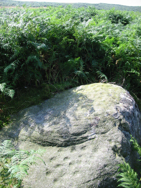 Pepperpot (Cup Marked Stone) by stubob