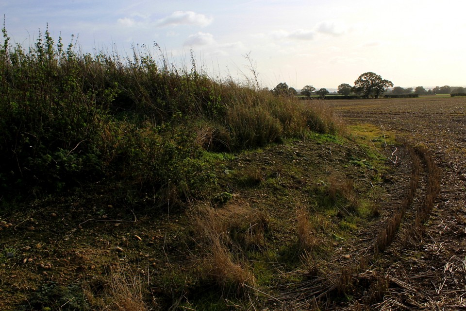 Mill Mound, Tolleshunt Major (Round Barrow(s)) by GLADMAN