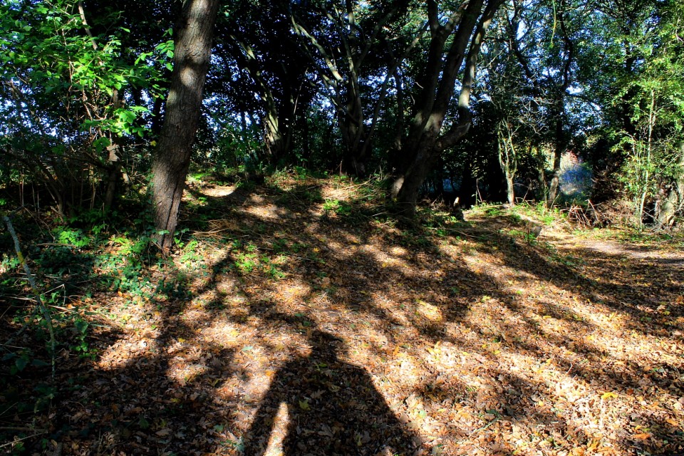 Prittlewell Camp (Hillfort) by GLADMAN
