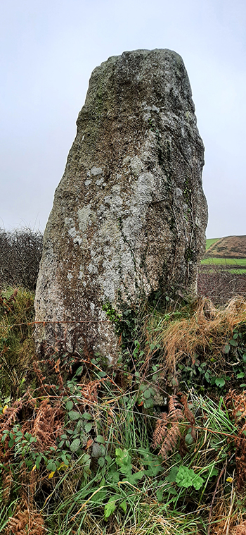 Wheal Buller Menhir (Standing Stone / Menhir) by Zeb